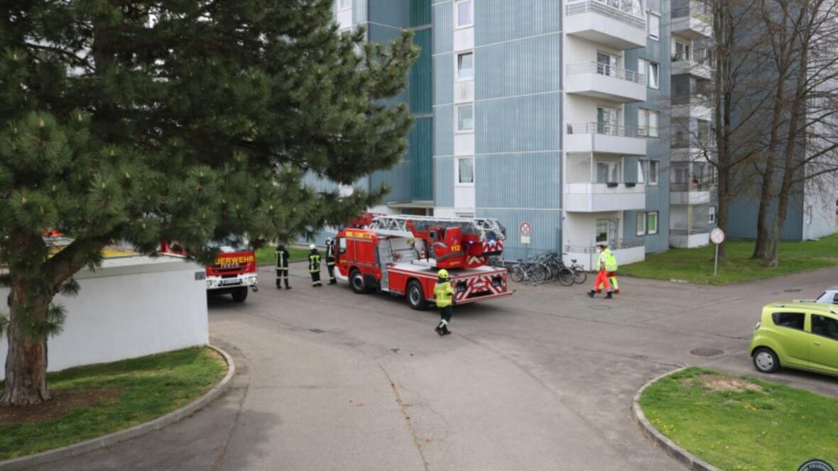 brand_max_peschel00001