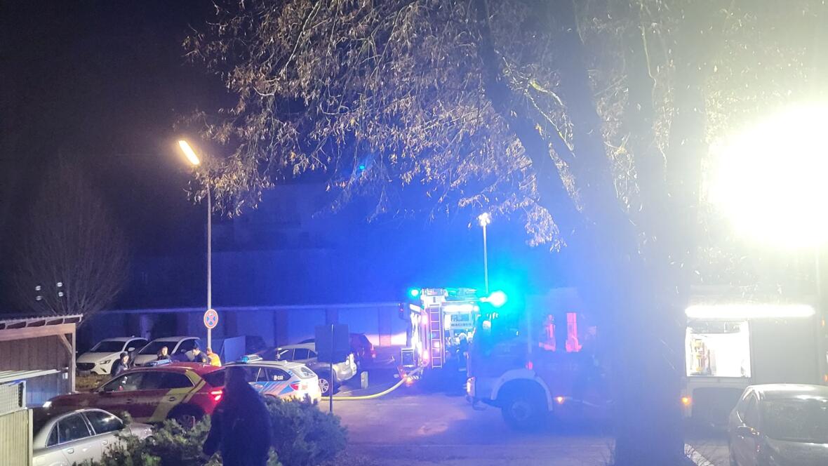 brand_zimmer01