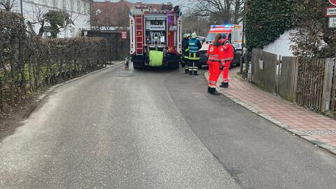 brand-insel-04
