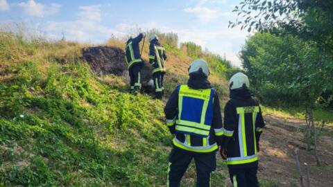 brand_freiflaeche00001