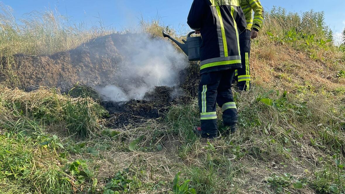 brand_freiflaeche00003