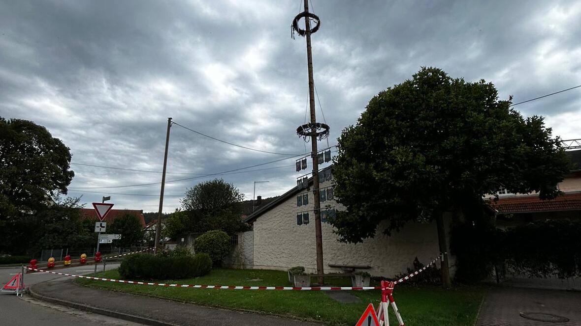 maibaum_huetting1