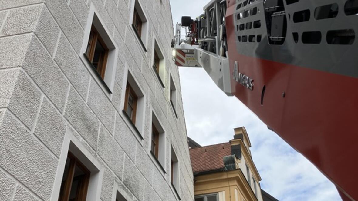 kleintierrettung