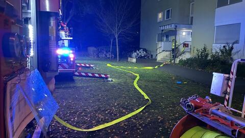 25-11-07-18-03-44-3207