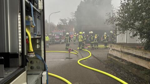 prof_doellg_brand00006