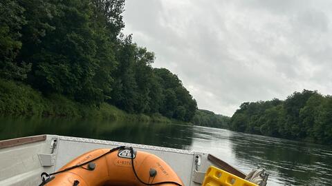 p-suche-donau-1